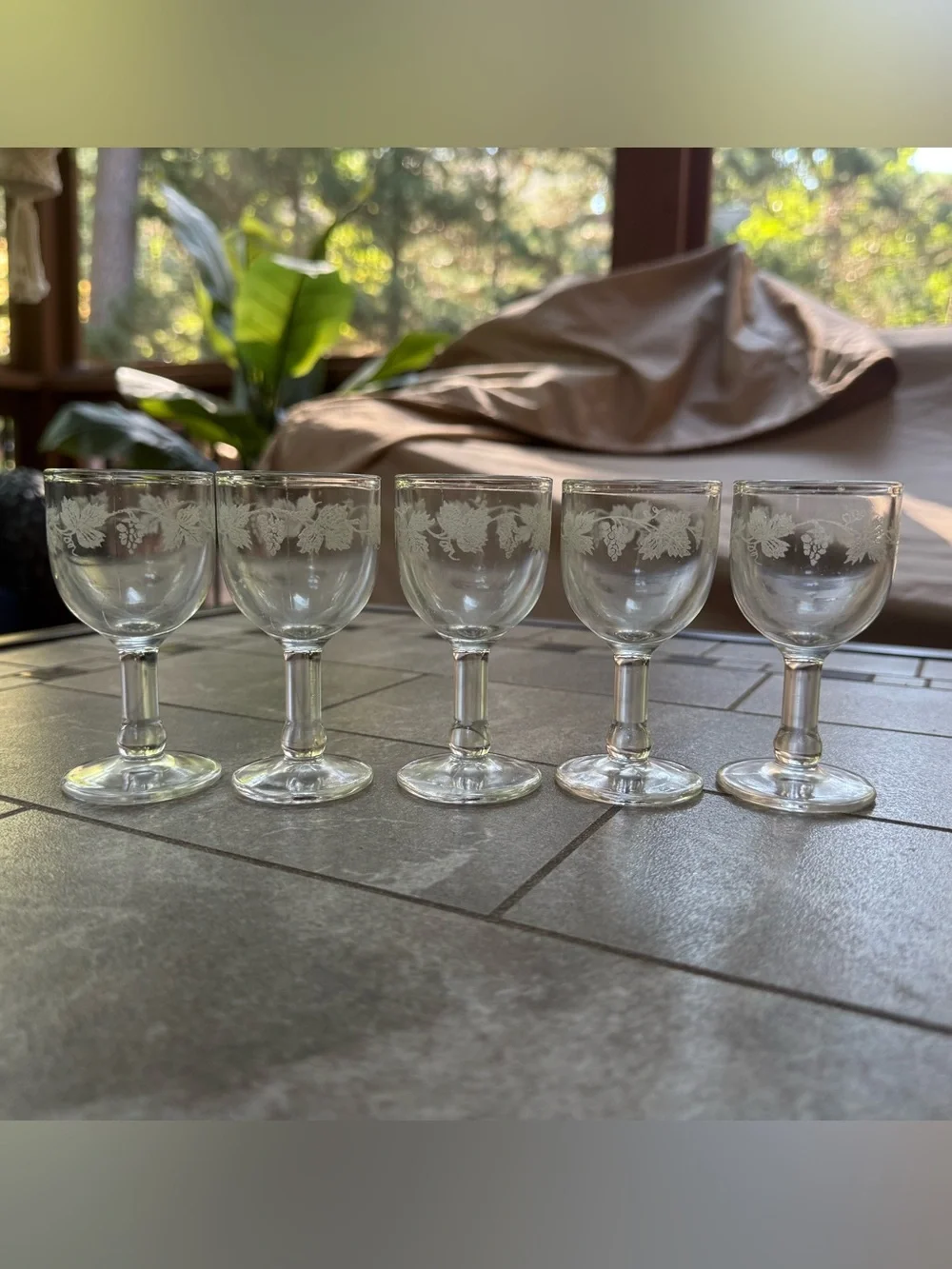 Vintage Glass Etched Grape Cordial Glasses - Set of 5